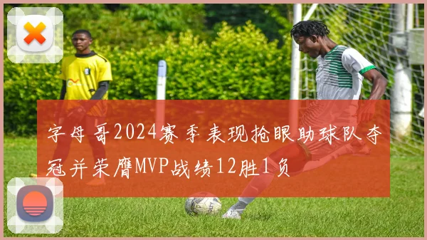 字母哥2024赛季表现抢眼助球队夺冠并荣膺MVP战绩12胜1负