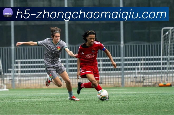 中超买球平台生态图